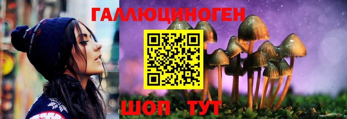 Галлюциногенные грибы Cubensis Менделеевск